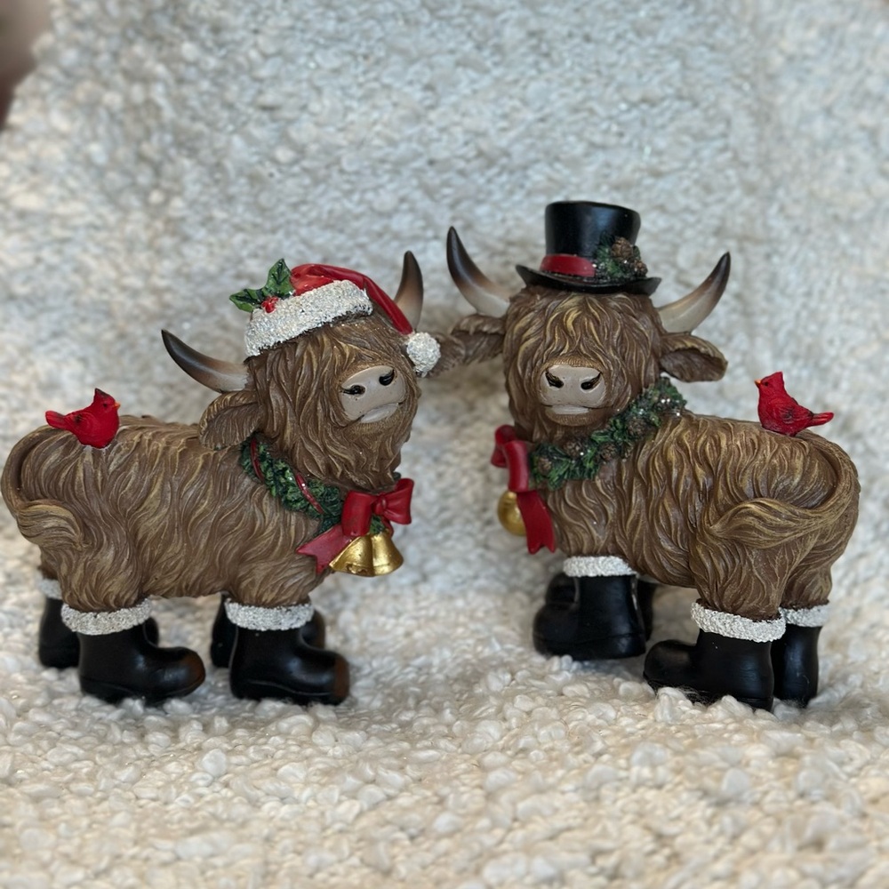 Hyland Cows Christmas